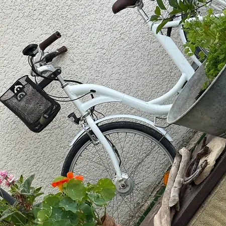 Maison Avec Terrasse Proche Piste Cyclable Et Remparts *